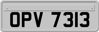 OPV7313