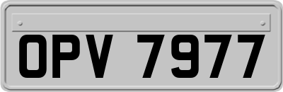 OPV7977