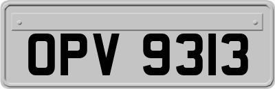 OPV9313