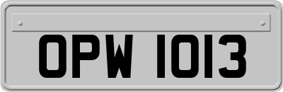 OPW1013