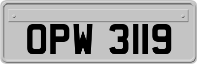 OPW3119