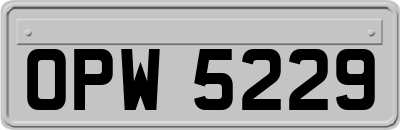 OPW5229