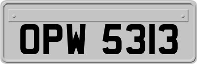 OPW5313