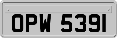 OPW5391