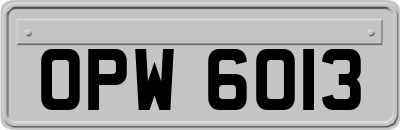 OPW6013