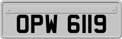 OPW6119