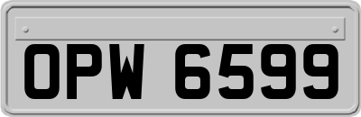 OPW6599