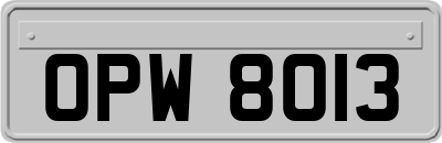 OPW8013