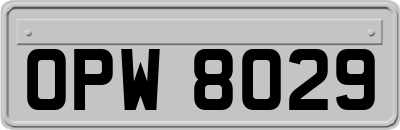 OPW8029
