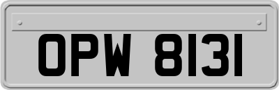 OPW8131