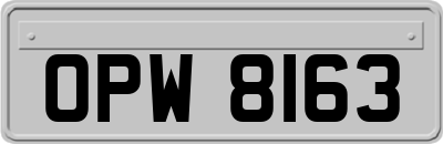 OPW8163