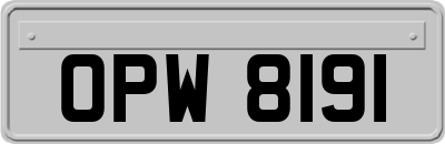OPW8191