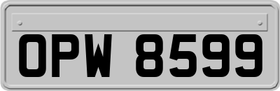 OPW8599
