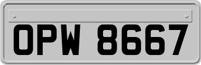 OPW8667