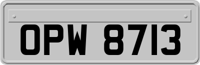 OPW8713