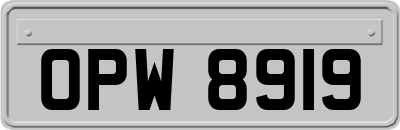 OPW8919