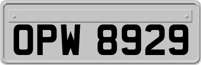 OPW8929