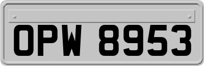 OPW8953