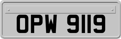 OPW9119
