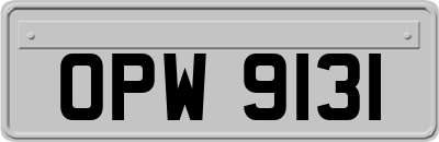 OPW9131