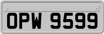 OPW9599