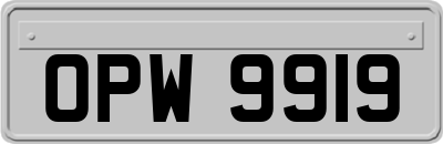 OPW9919