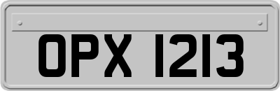 OPX1213