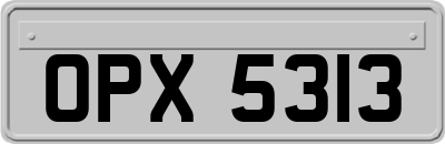 OPX5313