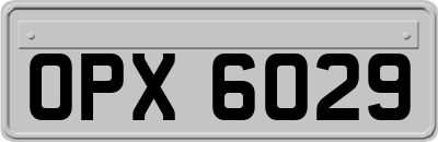 OPX6029