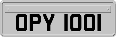 OPY1001