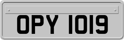 OPY1019