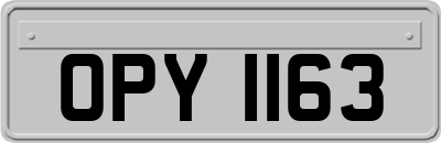OPY1163