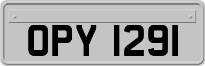 OPY1291