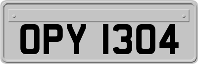 OPY1304