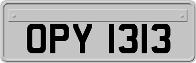 OPY1313