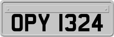 OPY1324