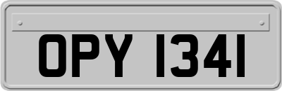 OPY1341
