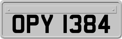 OPY1384
