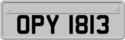 OPY1813