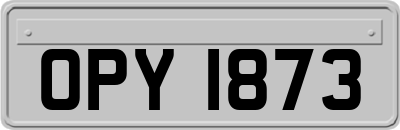 OPY1873