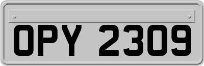 OPY2309