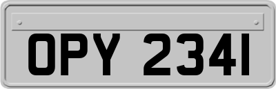 OPY2341
