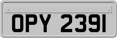 OPY2391