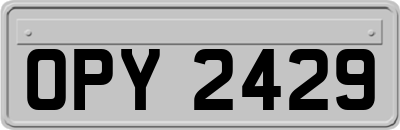OPY2429