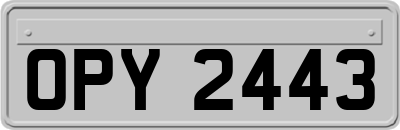 OPY2443