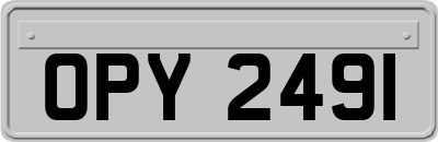 OPY2491