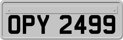 OPY2499