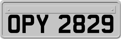 OPY2829
