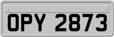 OPY2873