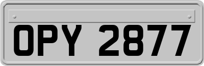 OPY2877
